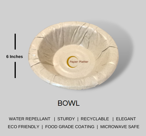 Eco Paper Bowl PaPer Platter